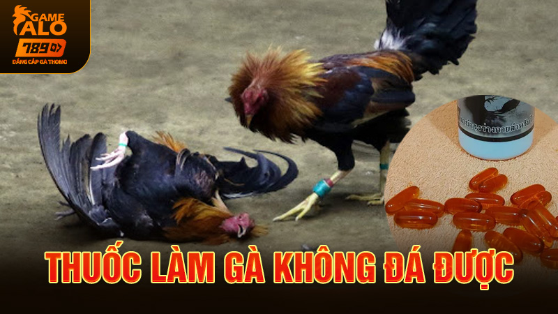 thuốc làm gà không đá